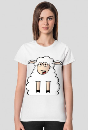 Surprised Sheep