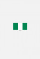 Koszulka z flagą Nigerii.