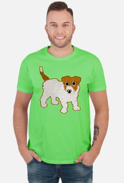 Jack Russel Terrier