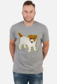 Jack Russel Terrier