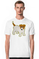 Jack Russel Terrier
