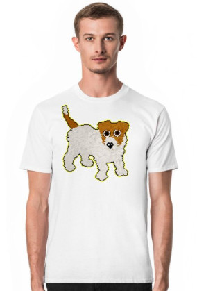 Jack Russel Terrier