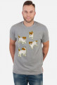 Jack Russel Terrier