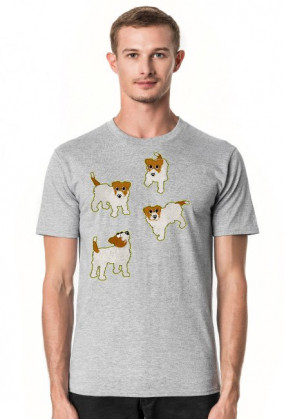 Jack Russel Terrier