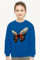 Bluza dziecięca motyl 1
