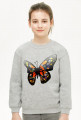 Bluza dziecięca motyl 1