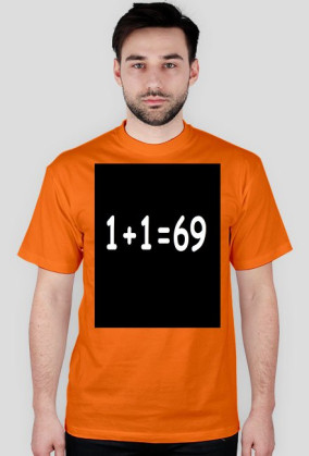 1+1=69