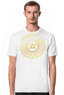 Koszulka męska - Wibracja 22 - Numerologia