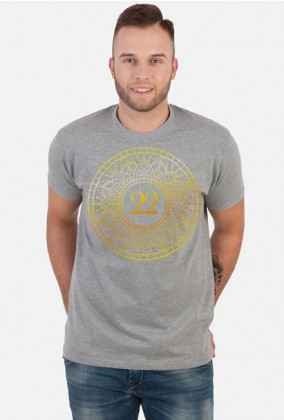 Koszulka męska - Wibracja 22 - Numerologia