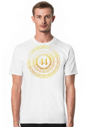 Koszulka męska - Wibracja 44 - Numerologia