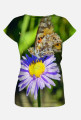 Butterflay