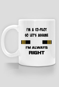 Kubek, I'm a co-pilot