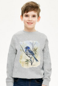 Bluza blue bird