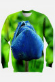bluza Blue tulip Niebieski tulipan