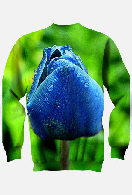 bluza Blue tulip Niebieski tulipan