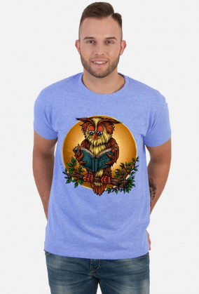 Wise Owl - Mądra Sowa