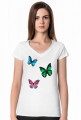 Lazura Butterfly