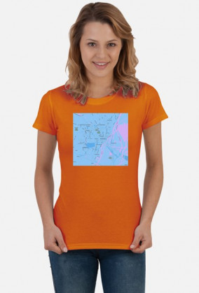 Koszulka z mapą Szczecina.