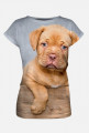 T-Shirt Damski - Dog