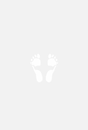 Feet