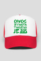 ZUS