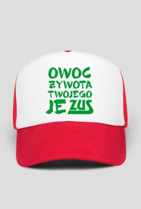 ZUS
