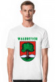 Herb Wałbrzycha