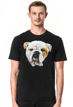 Bulldog angielski