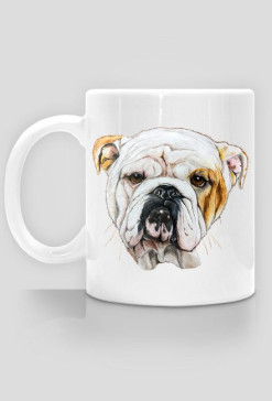 Bulldog angielski