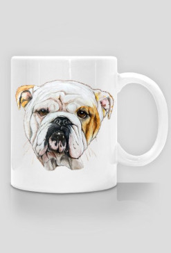 Bulldog angielski