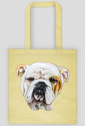 Bulldog angielski