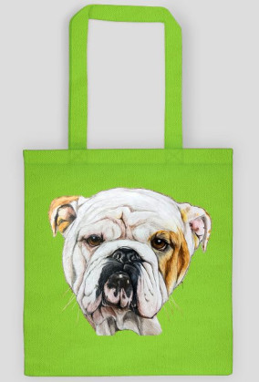 Bulldog angielski