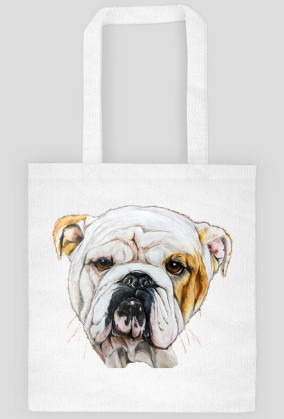 Bulldog angielski