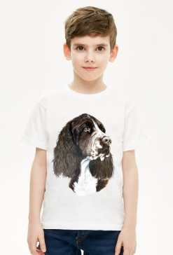 Springer spaniel