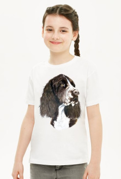 Springer spaniel