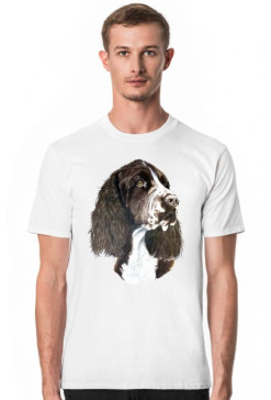 Springer spaniel