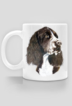 Springer spaniel