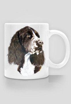 Springer spaniel