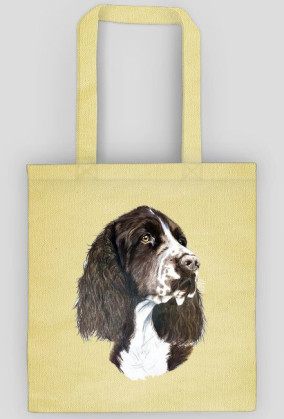 Springer spaniel