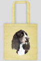 Springer spaniel
