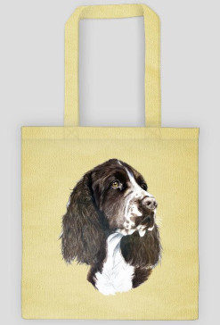 Springer spaniel
