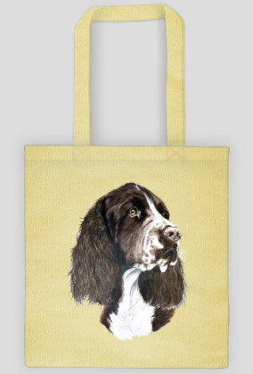 Springer spaniel