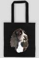 Springer spaniel