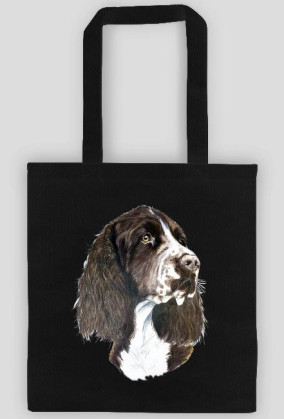 Springer spaniel