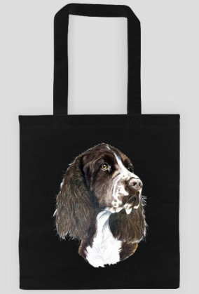 Springer spaniel