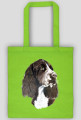 Springer spaniel