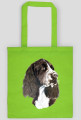 Springer spaniel