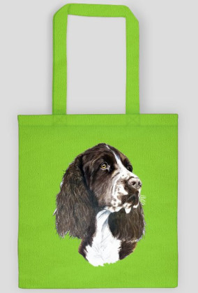 Springer spaniel