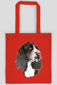 Springer spaniel
