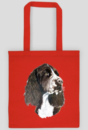 Springer spaniel